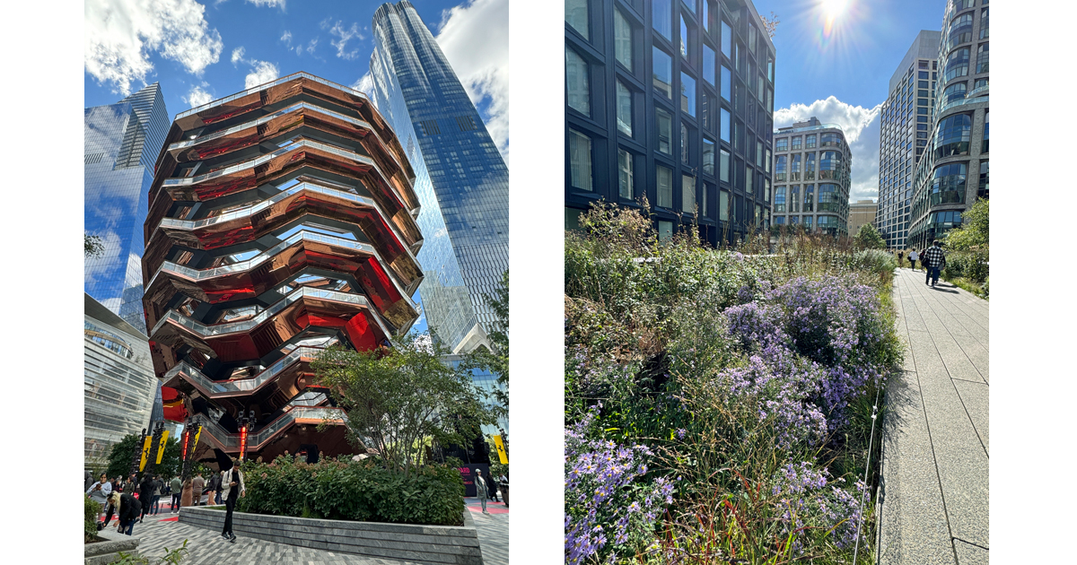 A fun place to start the High Line is near the Vessel at Hudson Yards and nature melds with the urban scape.