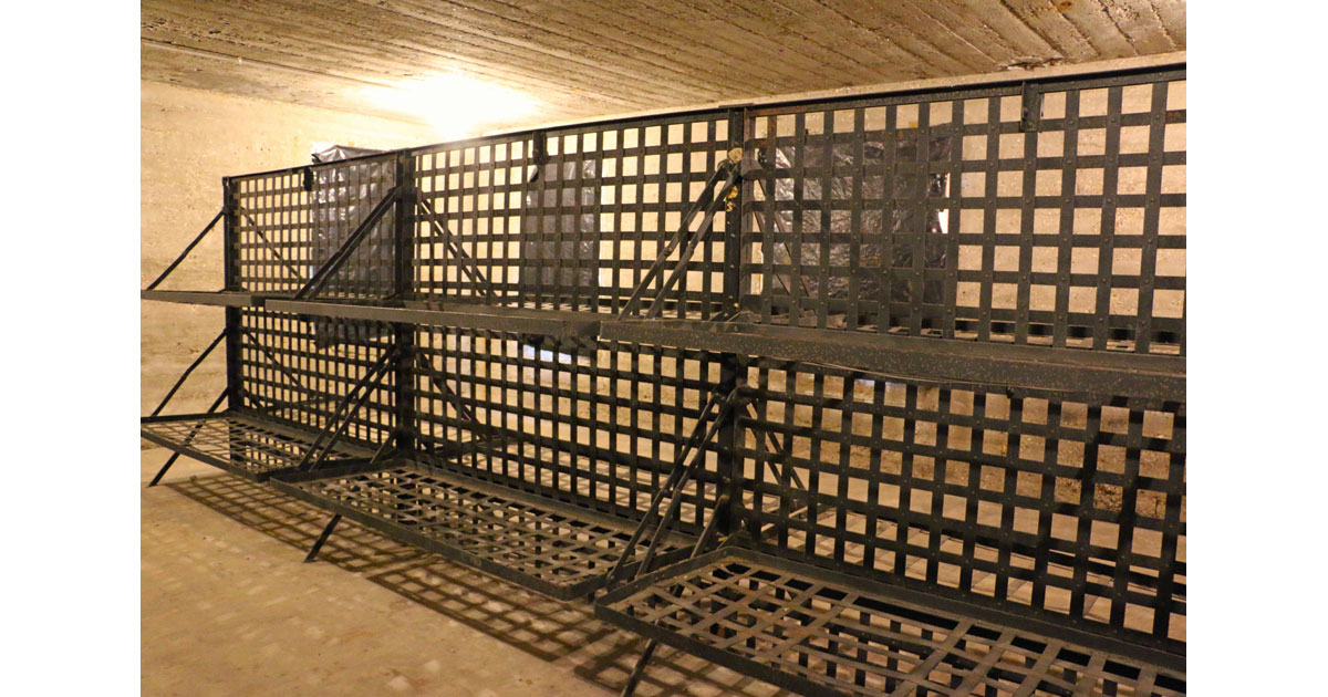Jail Cell Beds at Gothic Jail