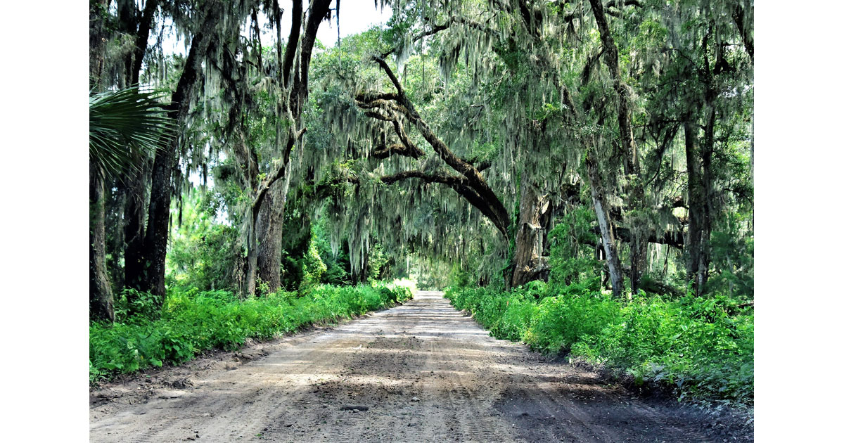 So many unpaved Florida roads lead to fabulous places - ©JO CLARK