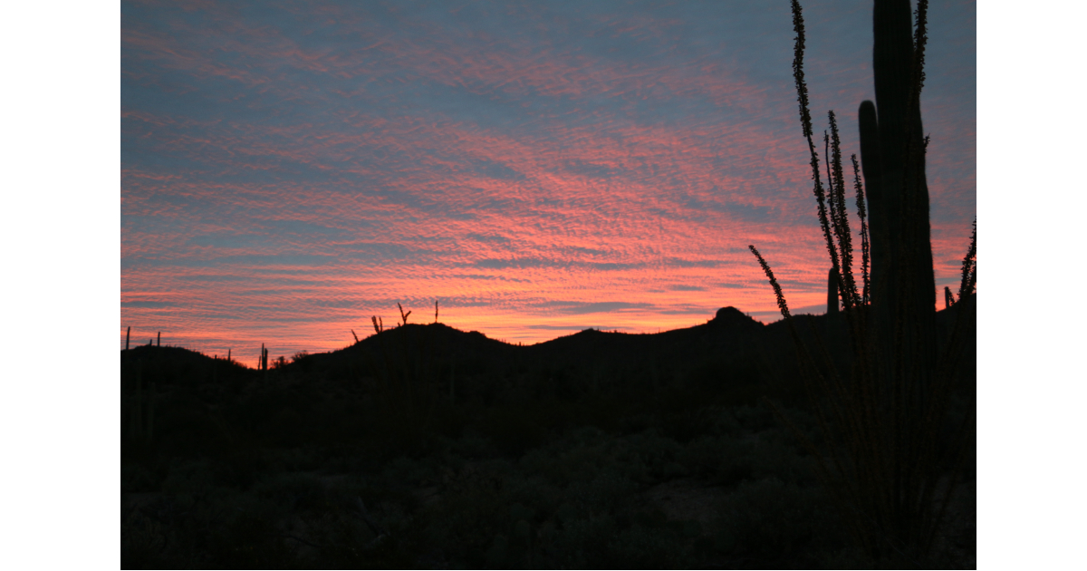 Sunrise at Saguaro National Park West