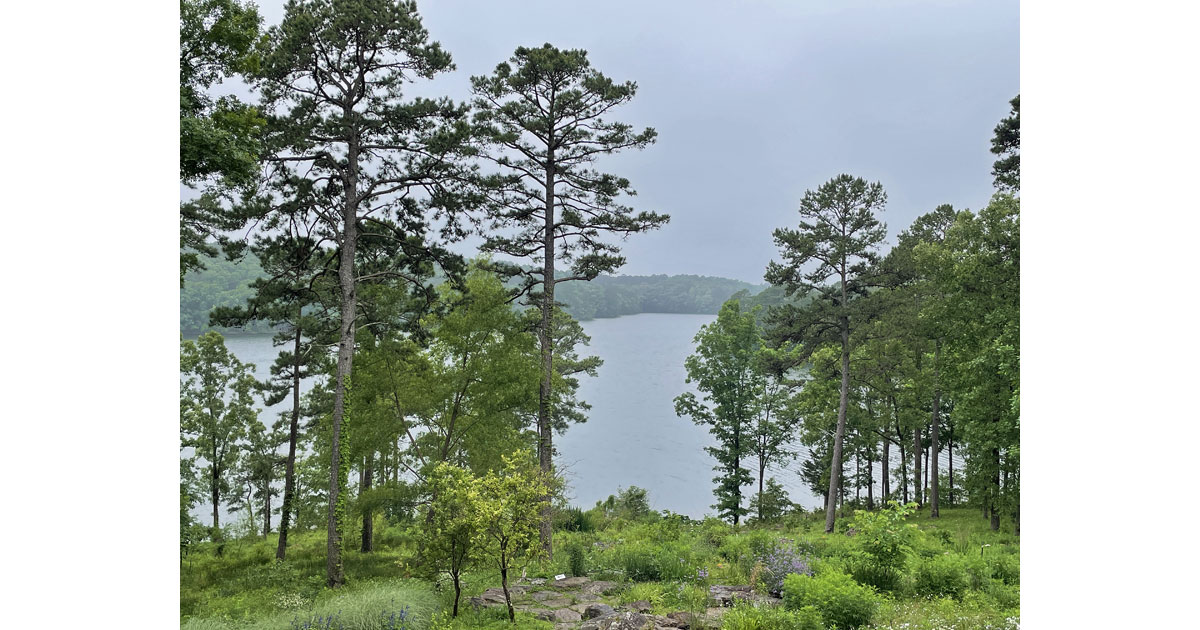 View of Lake Hamilton at Garvan Gardens