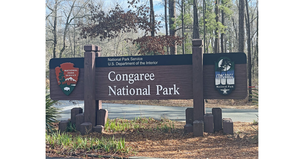 Welcome to Congaree National Park