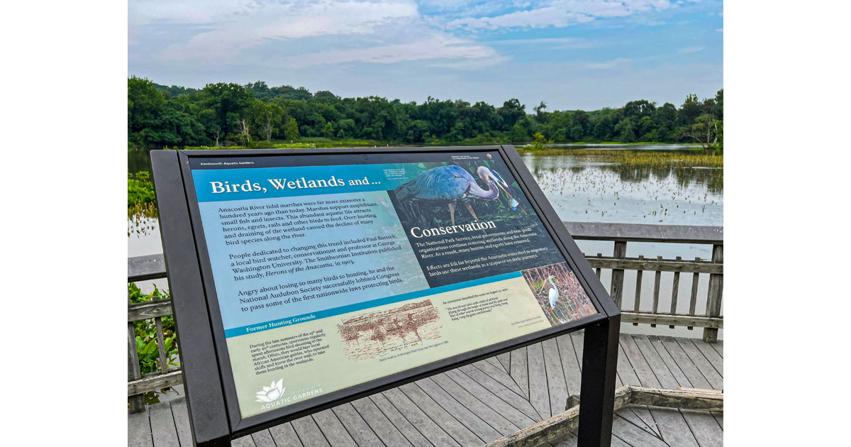 Bird and Wetland Information