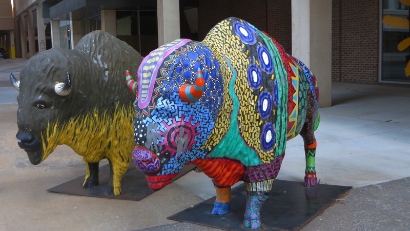 :  Painted buffalos, as part of a public art project, can be found throughout the city.