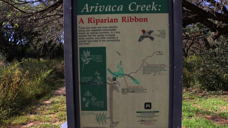 Arivaca Creek Trail