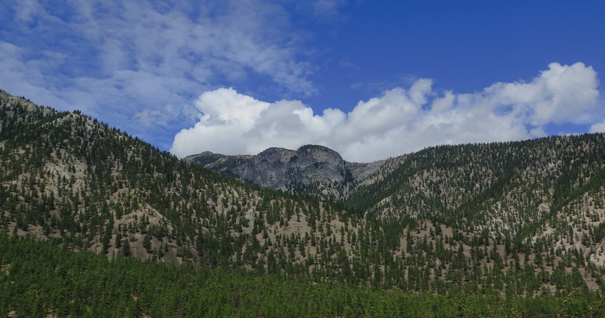 Canadian Landscape As Seen Aboard the Rocky Mountaineer