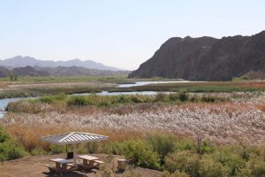 PICACHO STATE RECREATION AREA
