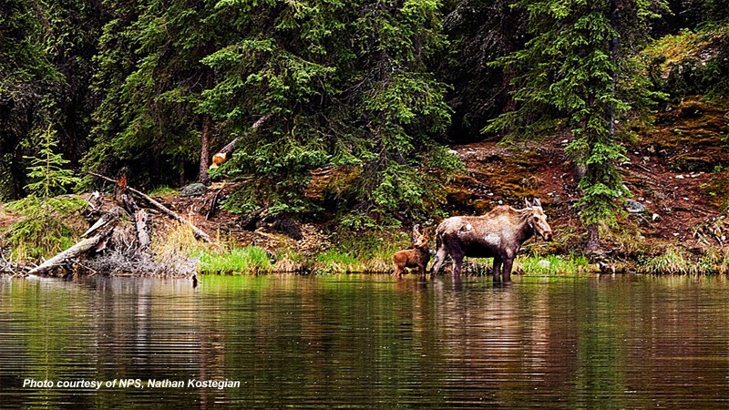 Alaska National Parks &amp; Public Lands