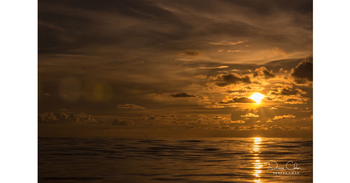 Loggerhead Key Dry Tortugas National Park Sunset Golden © Denesa Chan W