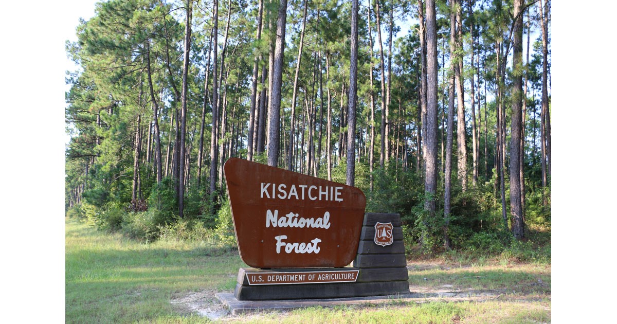 Kisatchie National Forest