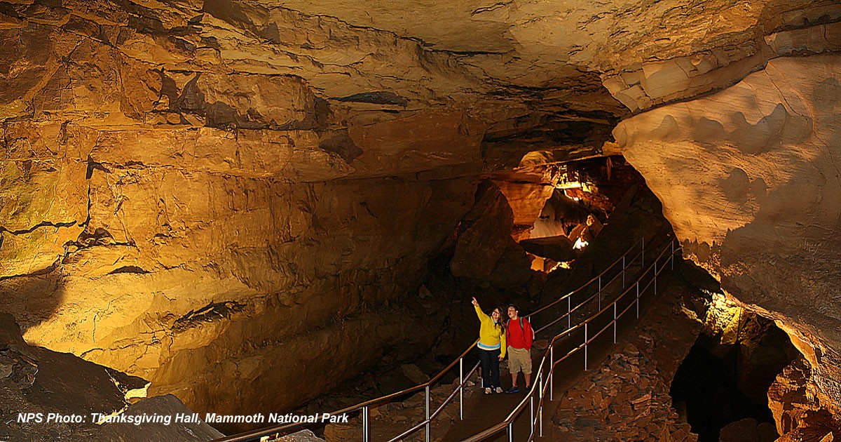 Mammoth Cave National Park Travel Guide
