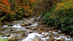 Tennessee National Parks & Public Lands